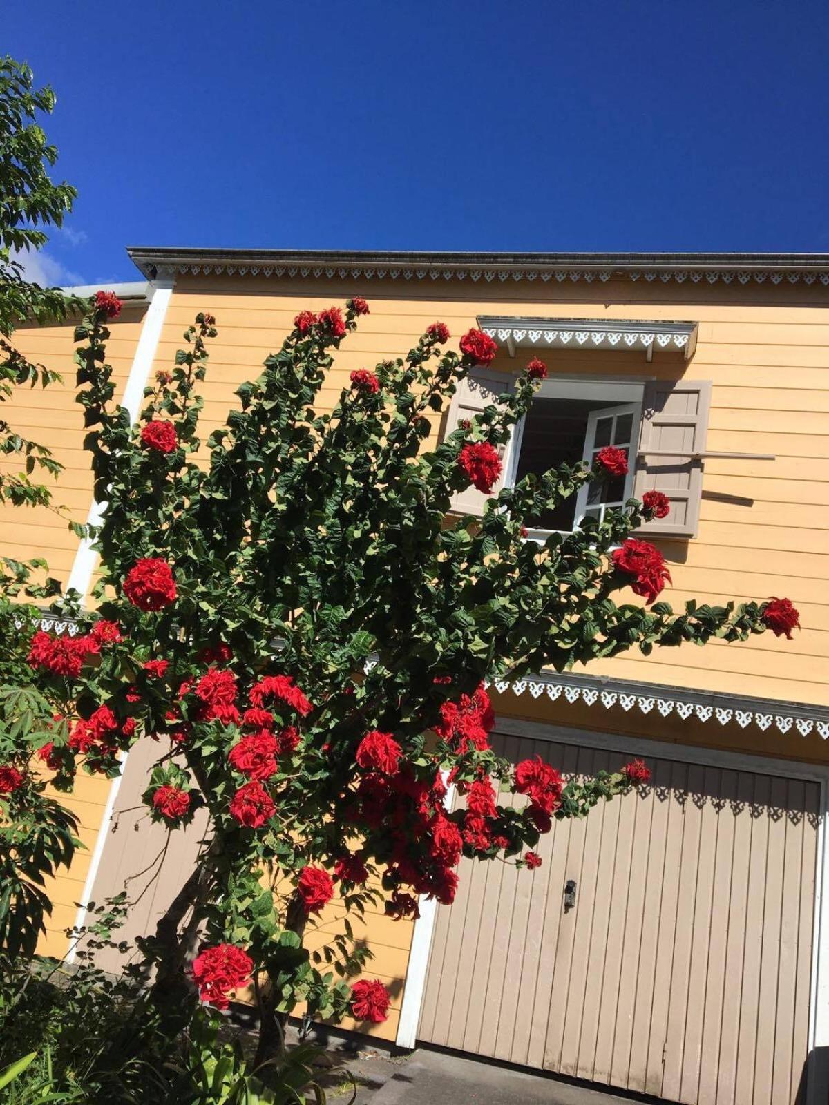Relais Des Gouverneurs 살라지 외부 사진